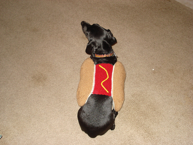DSC02964_medium2.JPG