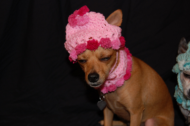 DSC_0359_medium2.JPG
